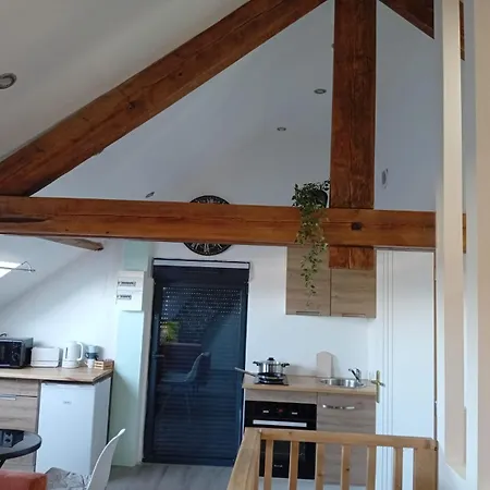Appartement Cozy Loft Hazebroek
