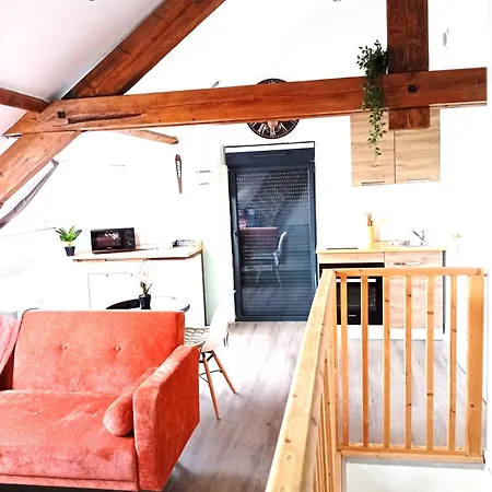 Cozy Loft 公寓 阿兹布鲁克